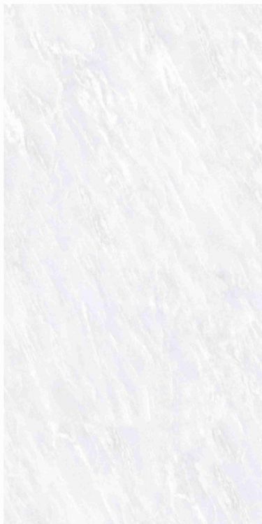 OL Vivid White Matte 12 x 24